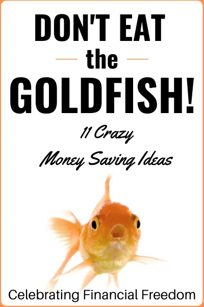 Don't Eat the Goldfish- 11 Crazy Money Saving Ideas