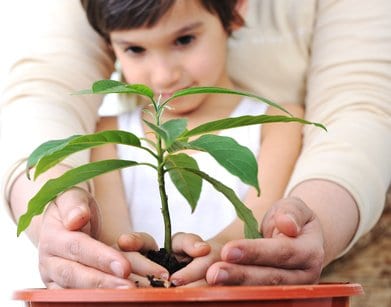 How to Make Your Own Life Plan (Part 6)- Your Legacy
