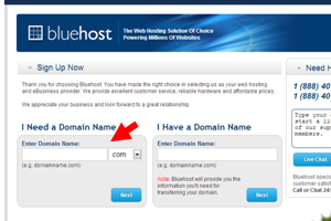 Bluehost- need a Domain Name- have a domain name