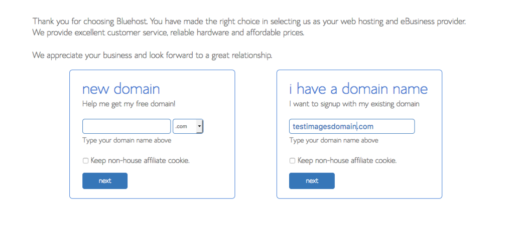 Choose Domain Bluehost